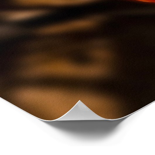 California Poppy - California Poppy 6 Poster (Hoek)