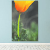 California Poppy Canvas Afdruk (Insitu (Houten vloer))
