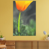 California Poppy Canvas Afdruk (Insitu (Woonkamer))