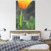 California Poppy Canvas Afdruk (Insitu (Slaapkamer))