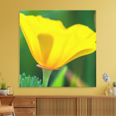 California Poppy Canvas Afdruk (Insitu (Woonkamer))