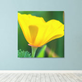California Poppy Canvas Afdruk (Insitu (Houten vloer))