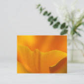 California Poppy Close-up... Briefkaart (Staand voorkant)