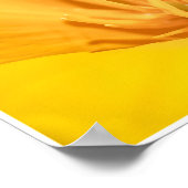 California Poppy Collage Poster (Hoek)