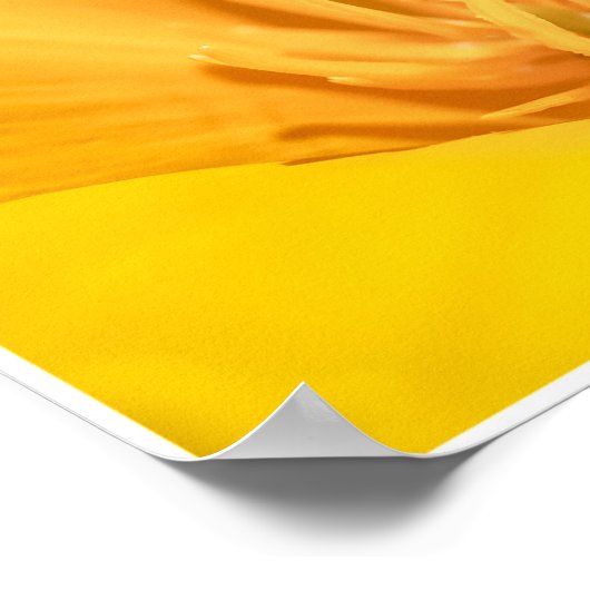 California Poppy Collage Poster (Hoek)