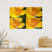 California Poppy Collage Poster (Keuken)