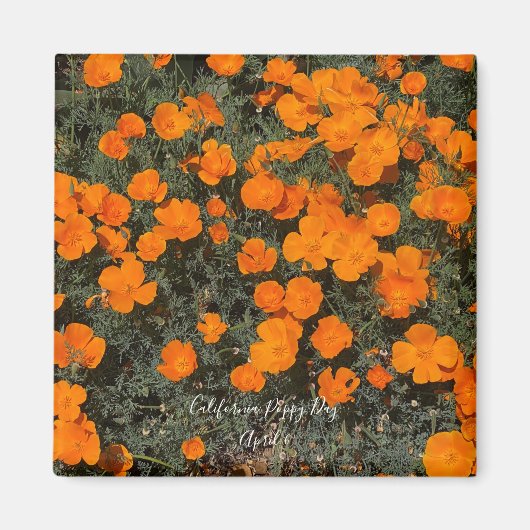 California Poppy Day Magneet (Voorkant)