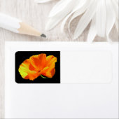 California Poppy Etiket (Insitu)