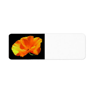 California Poppy Etiket