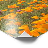 California Poppy Field Foto Afdruk (Hoek)