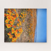 California Poppy Fields - Bloemen - 16x20 - 520 pc Legpuzzel (Horizontaal)