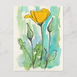 California Poppy Flower Bloom Spring Green Briefkaart