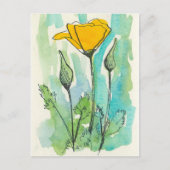 California Poppy Flower Bloom Spring Green Briefkaart (Voorkant)