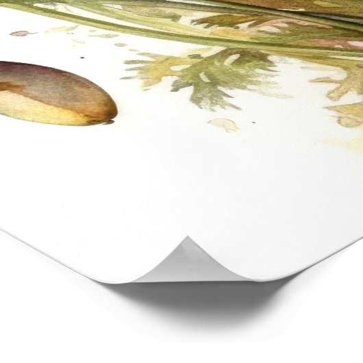 California Poppy Flowers Art Print Poster (Hoek)