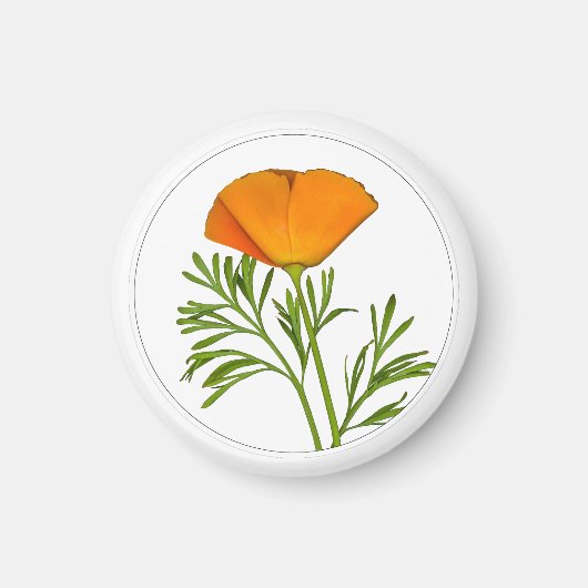 California Poppy in a Circle - Magneet (Voorkant)