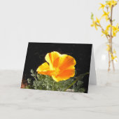 California Poppy in bloei Kaart (Gele Bloem)