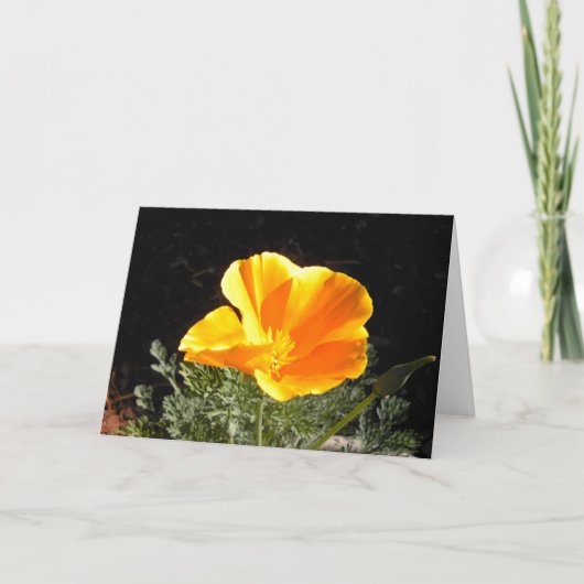 California Poppy in bloei Kaart (Voorkant)