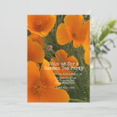 California Poppy Kaart (Staand voorkant)