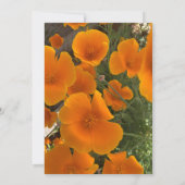 California Poppy Kaart (Achterkant)