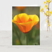 California Poppy Kaart (Gele Bloem)