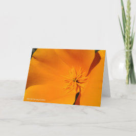 California Poppy Kaart