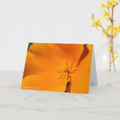 California Poppy Kaart (Gele Bloem)
