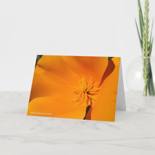 California Poppy Kaart (Voorkant)