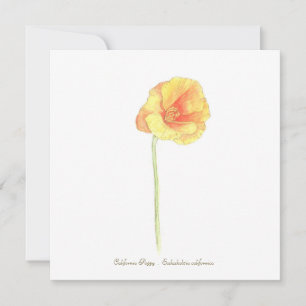 California Poppy Kaart