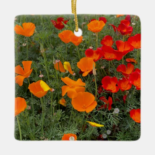 California Poppy Keramisch Ornament (Voorkant)