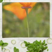 California Poppy Kitchen Towels Theedoek (Gevouwen)