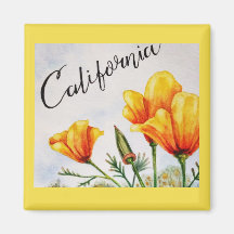 California Poppy