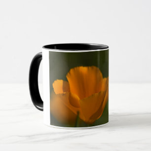 California Poppy Mok