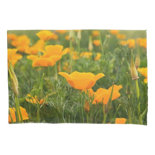 California Poppy Patch Foto Kussensloop (Voorkant)