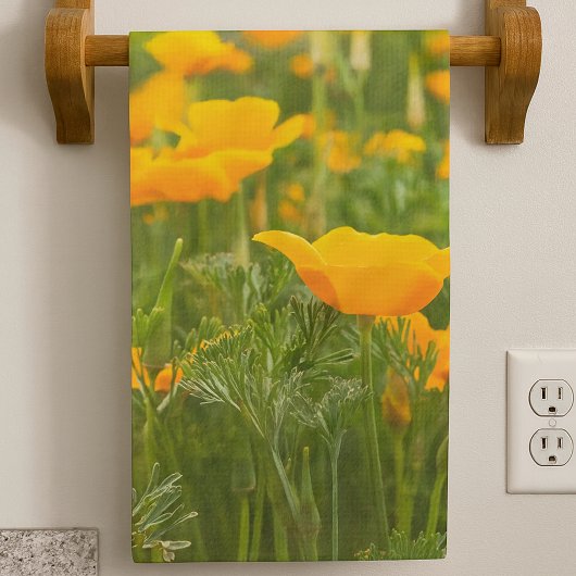 California Poppy Patch Photograph  Theedoek