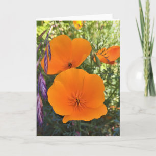 California Poppy Photo Wenskaart Kaart
