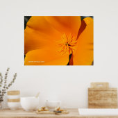 California Poppy Poster (Keuken)