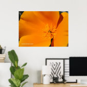 California Poppy Poster (Thuiskantoor)