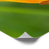 California Poppy Poster (Hoek)