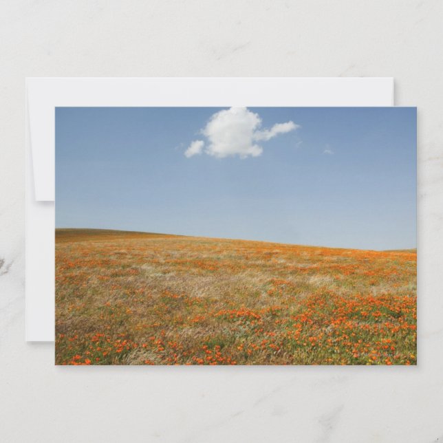 California Poppy Reserve (Voorkant)