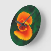 California Poppy Ronde Klok (Hoek)