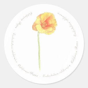 California Poppy Ronde Sticker
