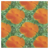California Poppy Stof (Close Up)