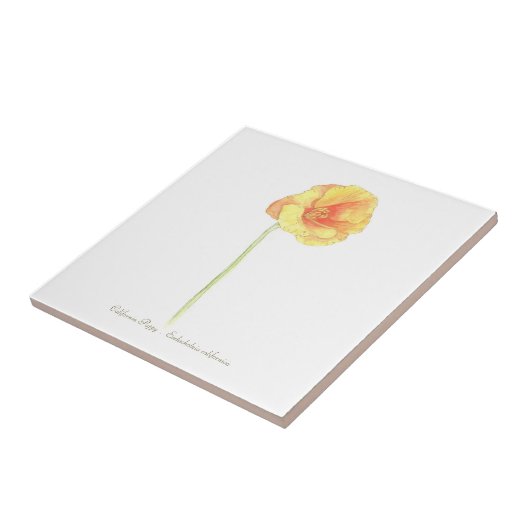 California Poppy Tegeltje (Zijkant)