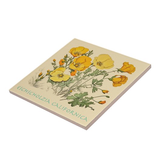 California Poppy Tegeltje (Zijkant)