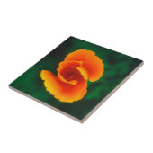 California Poppy Tegeltje (Zijkant)