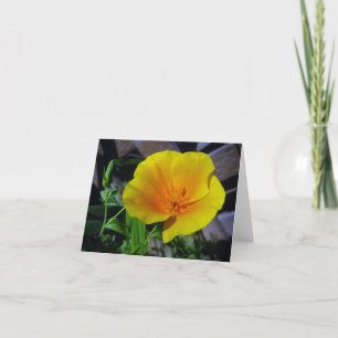 California Poppy Wenskaart Kaart