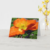 California Poppy Wenskaart Kaart (Gele Bloem)