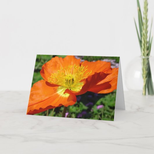 California Poppy Wenskaart Kaart (Voorkant)