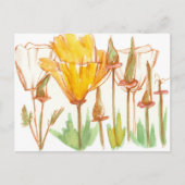California Poppy Wildflower Botanische Inkt Schets Briefkaart (Voorkant)