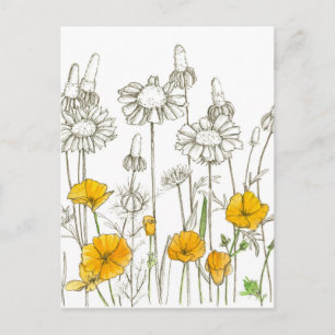California Poppy Wildflower Plant Sketch Briefkaart